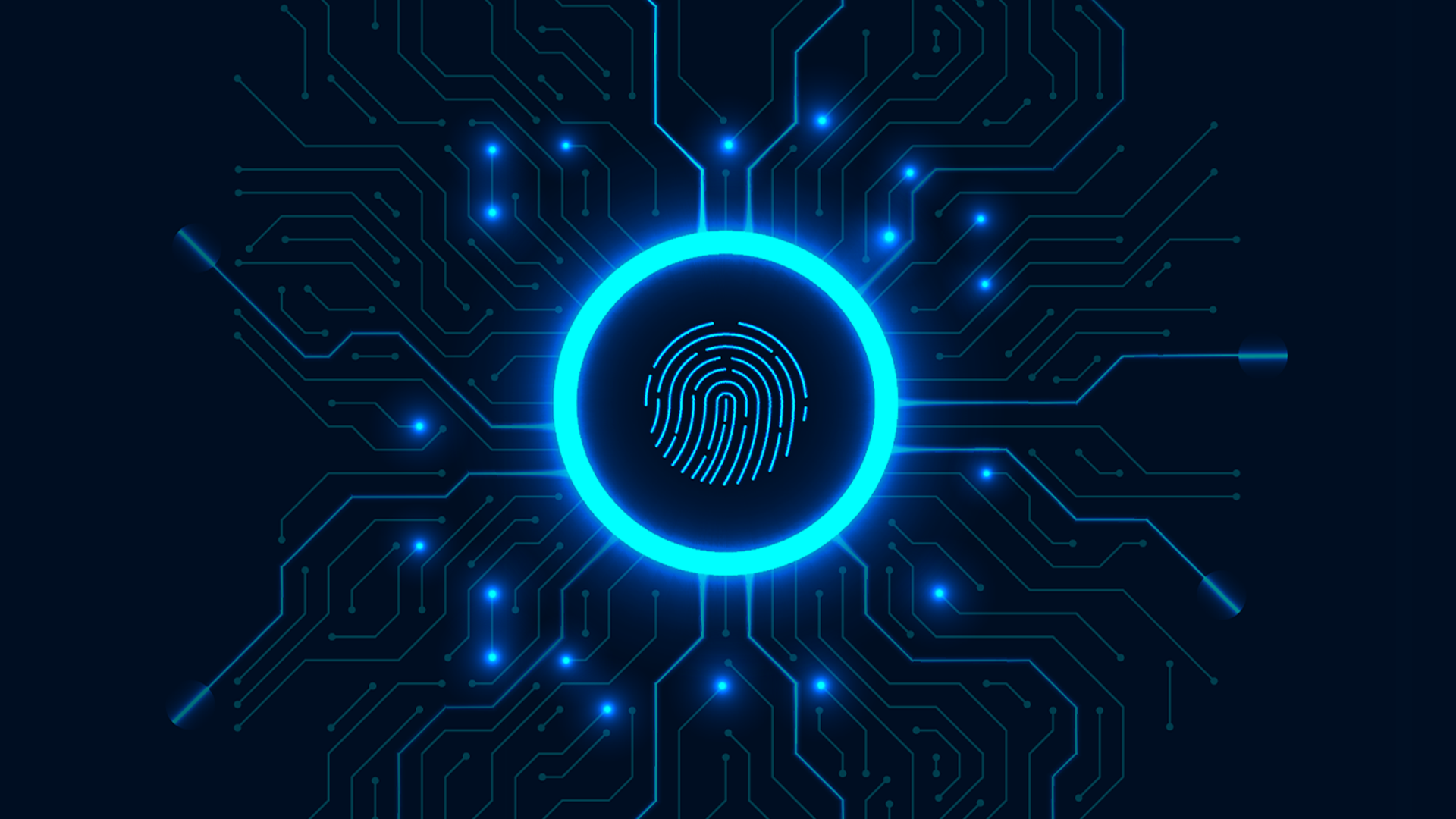 Cara Belajar Cyber Security Mudah dari Nol untuk Pemula